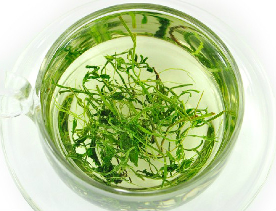 绞股蓝的副作用 绞股蓝泡水喝的禁忌