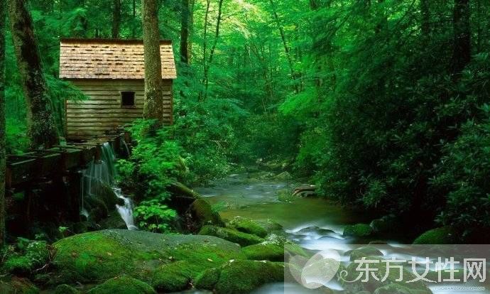 如何缓解眼睛疲劳 吃什么对眼睛好