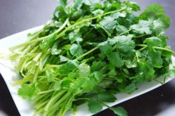 香菜的功效与作用及禁忌 这些人群最好少吃香菜