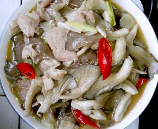 平菇怎么做好吃 平菇的家常做法大公开