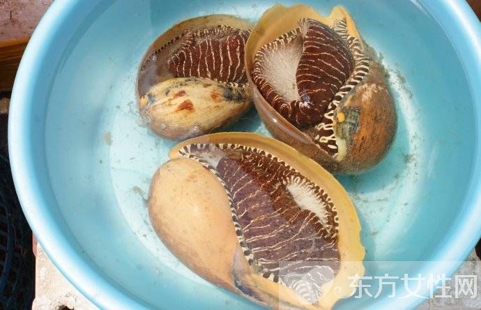 油螺的做法大公开 揭油螺的7大营养价值