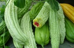 苦瓜的功效与作用 苦瓜泡水喝效果好过祛痘产品