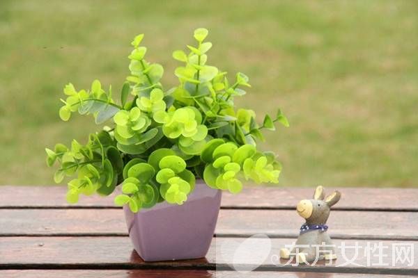 吸收二手烟的危害你知哪些 怎么把危害降低