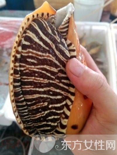 油螺的做法大公开 揭油螺的7大营养价值