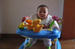 婴儿学步车的危害多大 这些方面令所有家长痛心