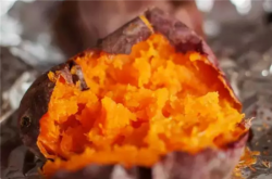 烤红薯会致癌吗 揭烤红薯的四大食用禁忌