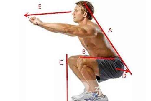 深蹲的好处和坏处 正确的深蹲动作应该是这样的