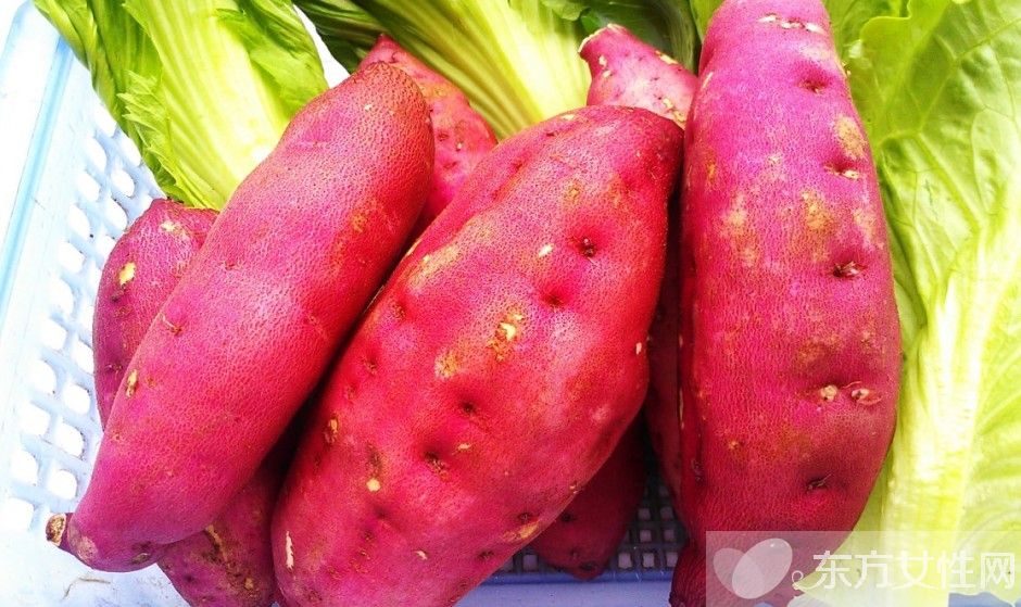 常见的清肠降脂食物有哪些 分享6个养生小常识