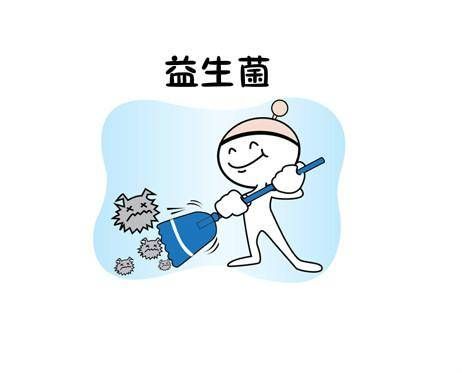 益生菌的作用机理 日常补充益生菌的注意事项