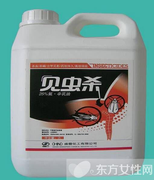 家庭灭虫法你知多少 防蚊总动员大家一起来