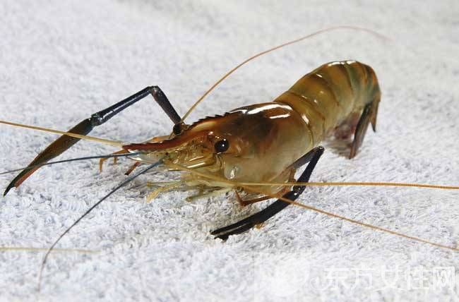 河虾怎么洗 河虾这么做色香味俱全