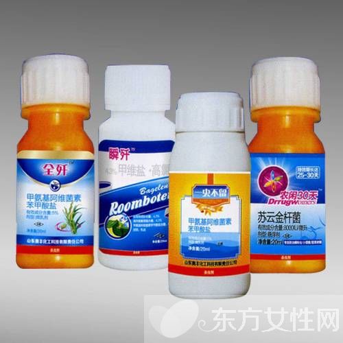 家庭灭虫法你知多少 防蚊总动员大家一起来