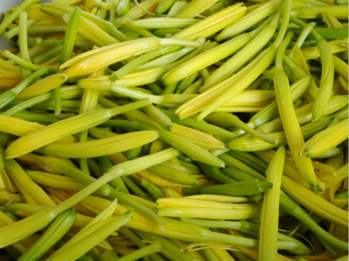 黄花菜的做法 黄花菜的营养价值有哪些