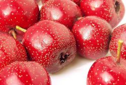 吃山楂要注意什么 山楂的功效与作用