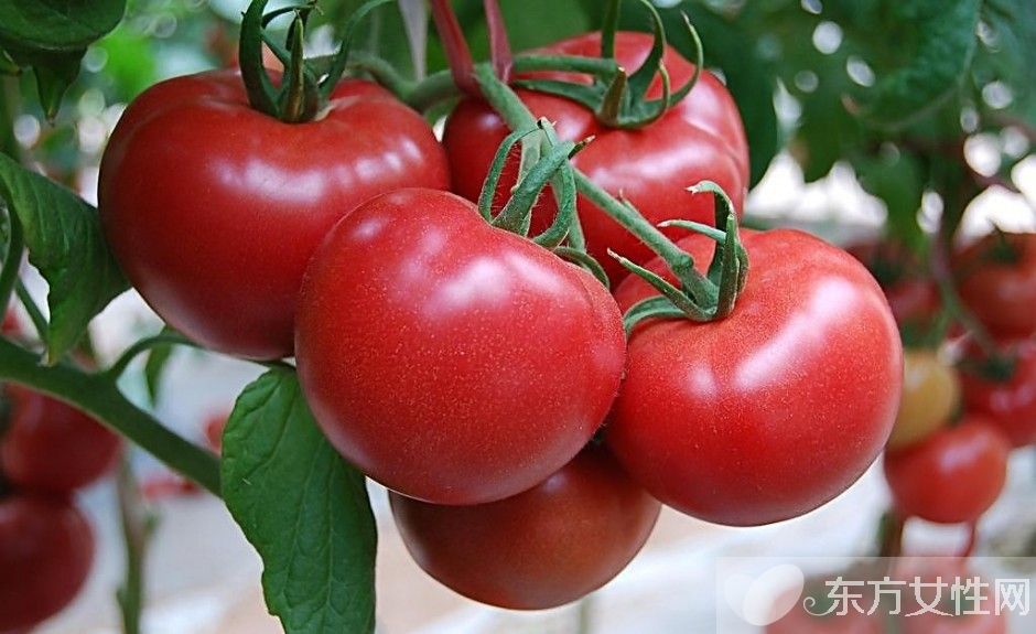 抗氧化食物有哪些 吃抗氧化食物有什么好处