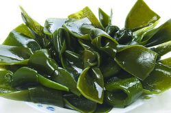 海带的营养价值及功效 这些食用禁忌很多人不知道