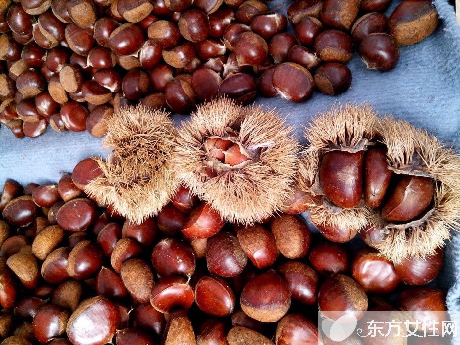 孕妇能吃板栗吗 孕妇吃板栗的八大好处