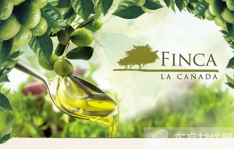 橄榄油的作用及功效 上好的橄榄油要怎么挑选