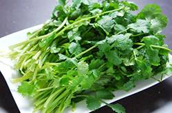 男性吃香菜杀精子吗 香菜有效于减少眼疾