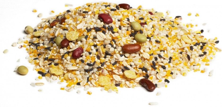 营养知识 日常吃的米居然有这么多神奇的功效