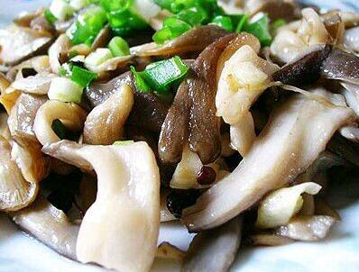 平菇怎么做好吃 平菇的家常做法大公开