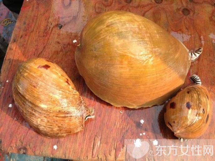 油螺的做法大公开 揭油螺的7大营养价值