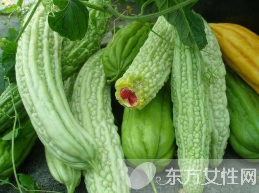 苦瓜的功效与作用 苦瓜泡水喝效果好过祛痘产品