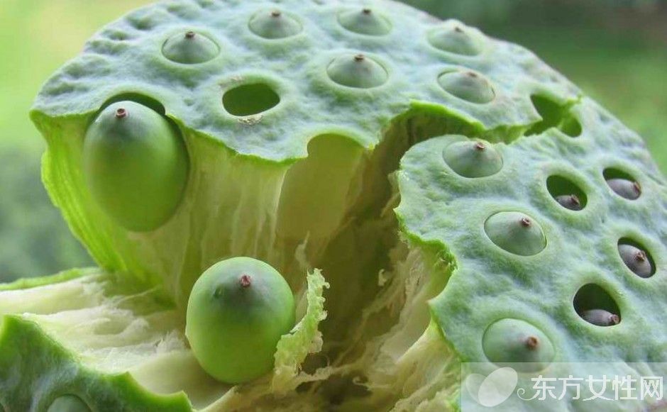 莲子心的作用与副作用 莲子心的正确食用方法推荐