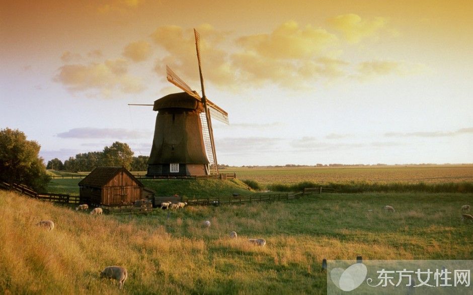 哪些是地势最低的国家 揭荷兰最为迷人之处