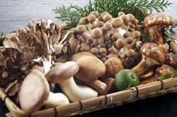 什么是粗纤维食物 粗纤维的食用禁忌你了解吗