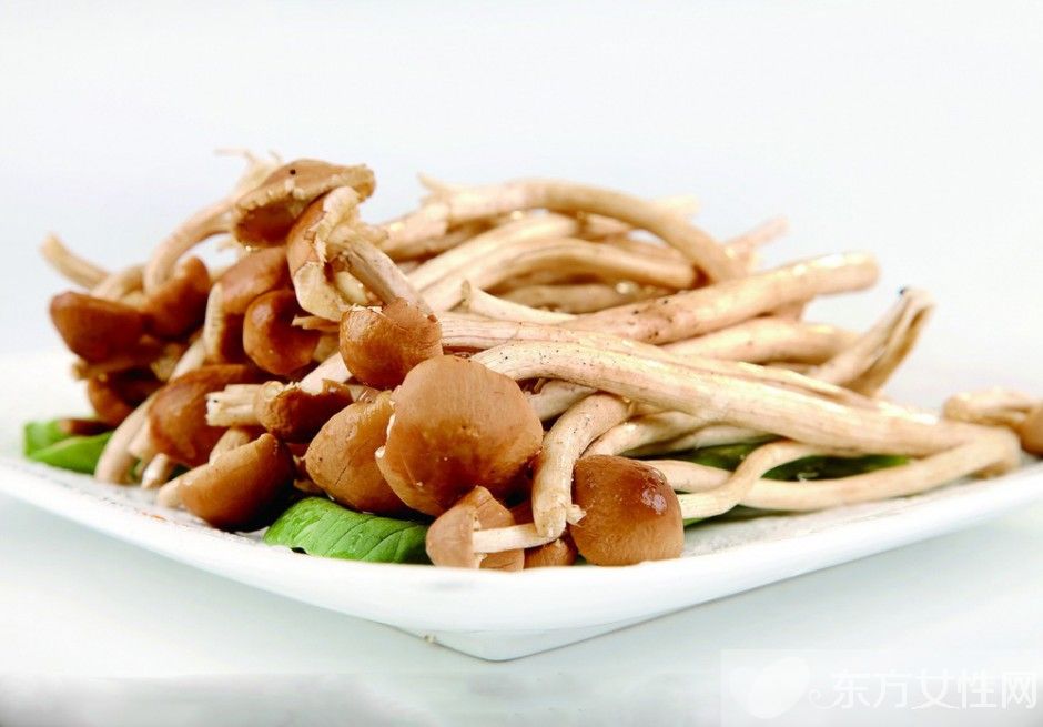 茶树菇煲鸡汤的做法 茶树菇还可以搭配这些美味