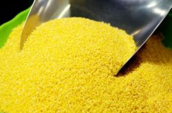 粟米是什么米 它的营养价值居然是大米的4倍