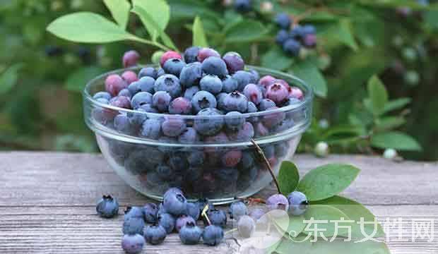 蓝莓的营养价值及功效 蓝莓吃多了后果很严重哦