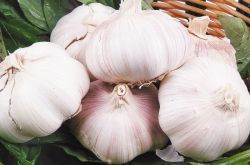 大蒜的功效与作用 大蒜的最佳养生吃法推荐