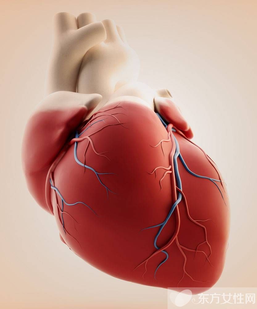 心肌供血不足的表现与危害 这些饮食禁忌需牢记