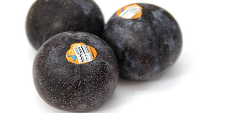 黑布林的营养价值介绍 女人吃了效果居然这么好