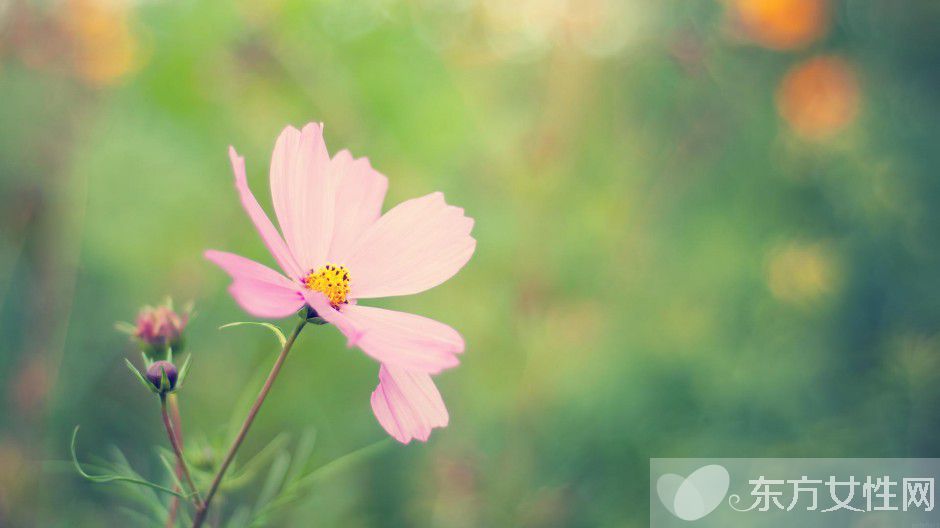 春天养生之道推荐 做好这三点身体棒棒哒