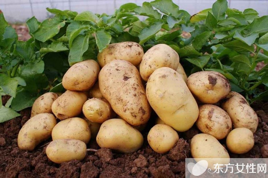 脸部色斑形成的原因 教你在家自制祛斑面膜