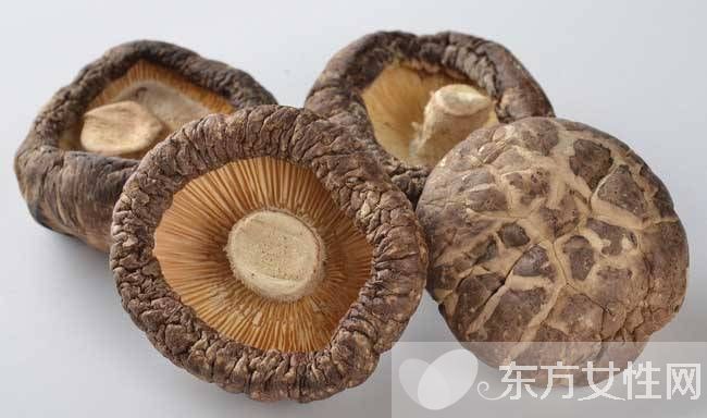 冬菇的营养价值介绍 美味冬菇肉饼的家常做法推荐