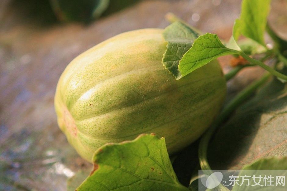 夏季饮食养生最佳开胃食物 夏天不得不吃的水果推荐