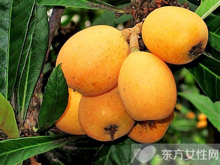 强碱性食物有哪些 怎么分辨食物的酸碱性