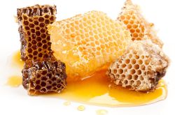 春季养生保健知识 春天吃这些一年不生病