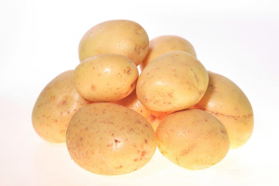 马铃薯是土豆吗 马铃薯家常美味做法推荐