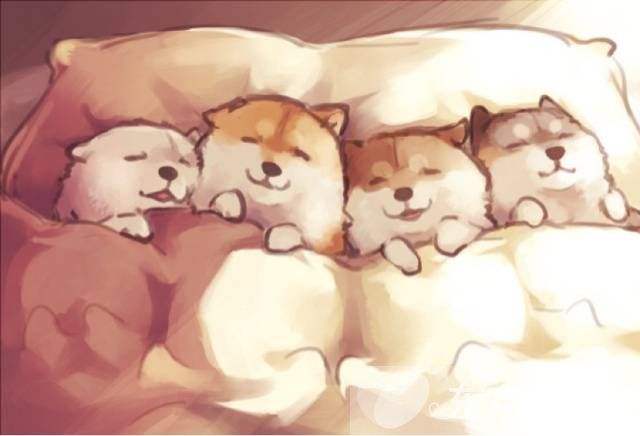 打呼噜的解决方法 6个方法让你不再打呼噜