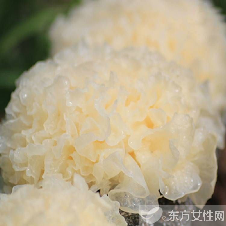 秋季预防感冒小常识推荐 这些食物就先别吃了