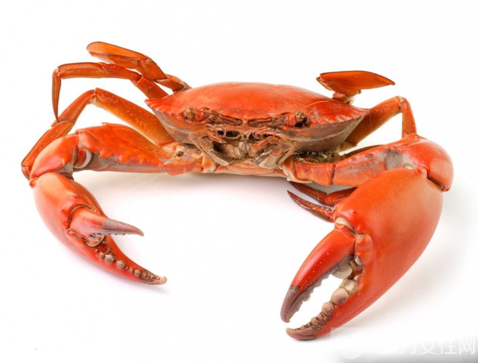 秋冬季养生小常识 螃蟹养生食疗放法推荐