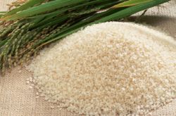 粳米和大米的区别 各种粳米的美味家常做法推荐