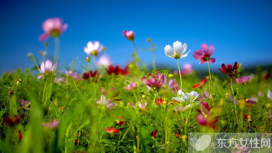 春季养生保健知识 这些 伪健康 食物最好少吃