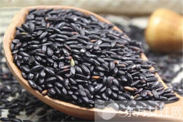 黑芝麻怎么吃最好 常吃黑芝麻有意想不到的收获哦