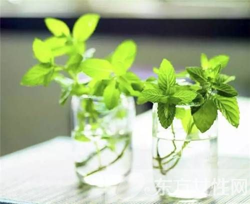 美容护肤小知识介绍 油性皮肤怎么洗脸更干净